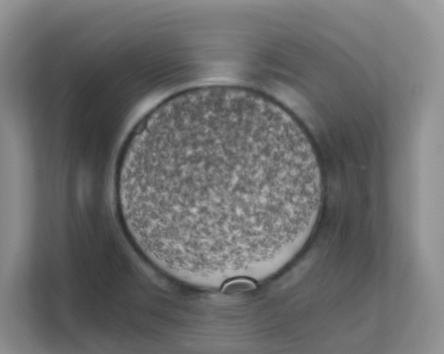 X0000111371469200907311023