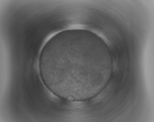 X0000111371470200907311023