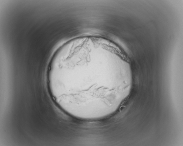 X0000111371471200907311023