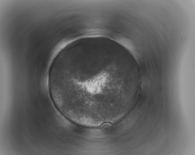 X0000111371472200907311023