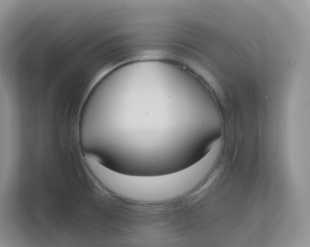 X0000111371473200907311023