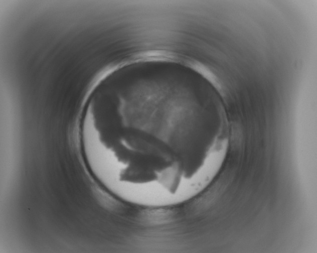 X0000111371474200907311023