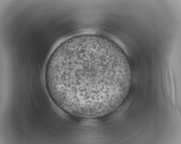 X0000111371475200907311023