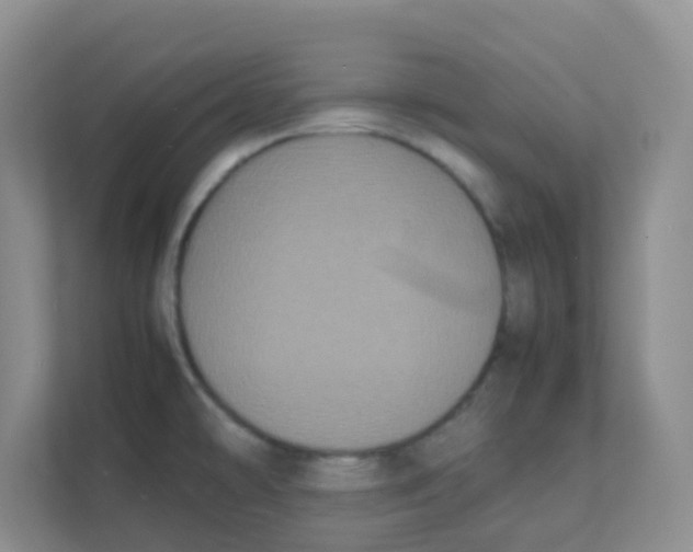 X0000111371478200907311023