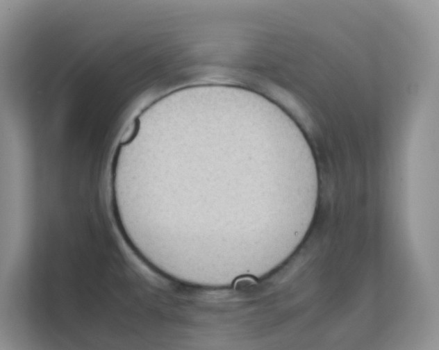 X0000111371479200907311023