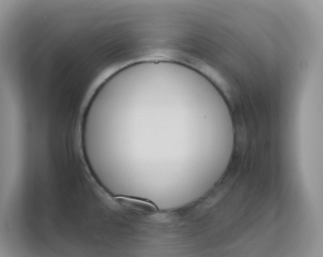 X0000111371480200907311023