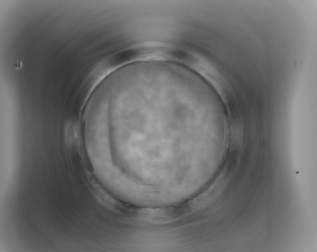 X0000111371481200907311023