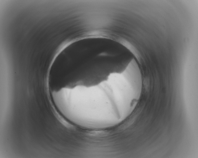 X0000111371482200907311023