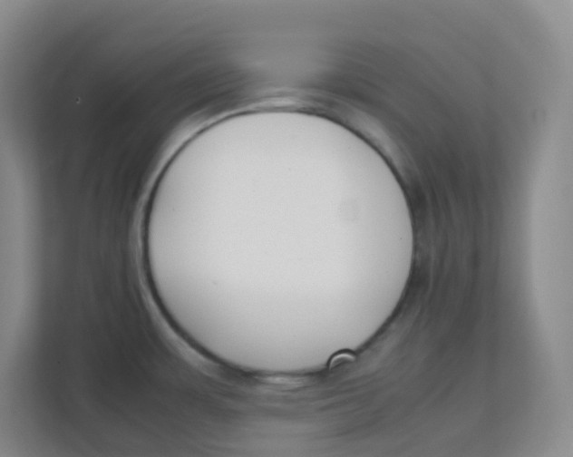 X0000111371483200907311023