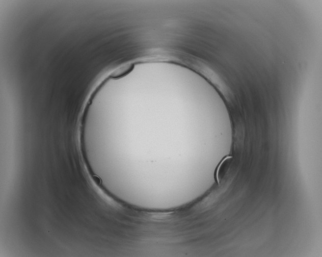 X0000111371484200907311023