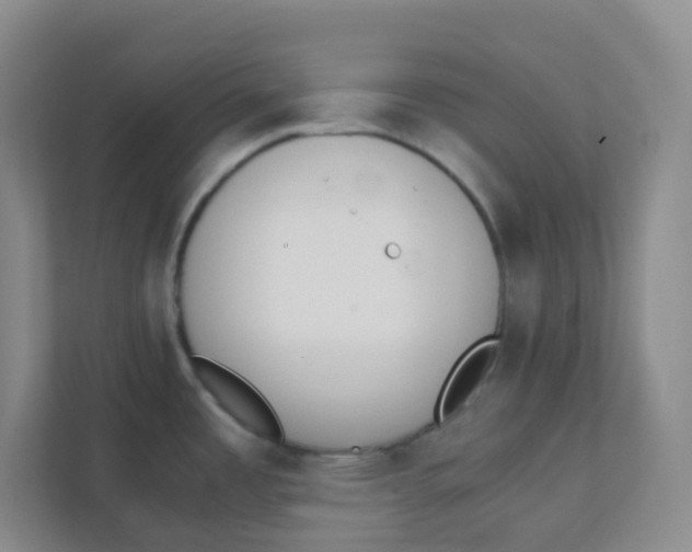 X0000111371485200907311023