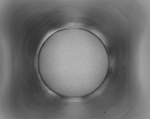 X0000111371486200907311023