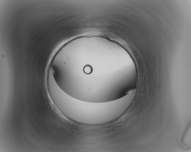 X0000111371488200907311023