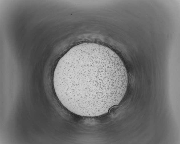 X0000111371489200907311022