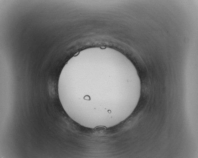 X0000111371490200907311022