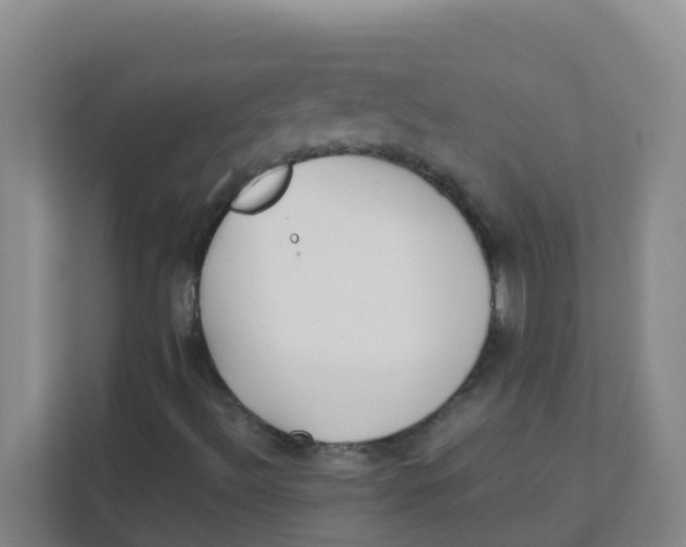 X0000111371492200907311022