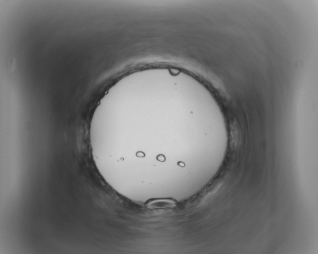 X0000111371494200907311022