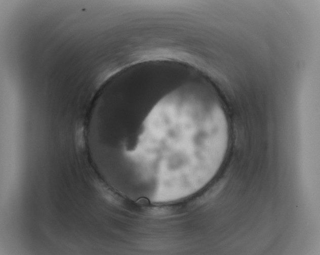 X0000111371497200907311022