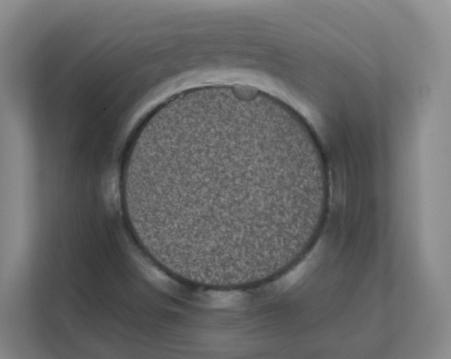 X0000111371498200907311022