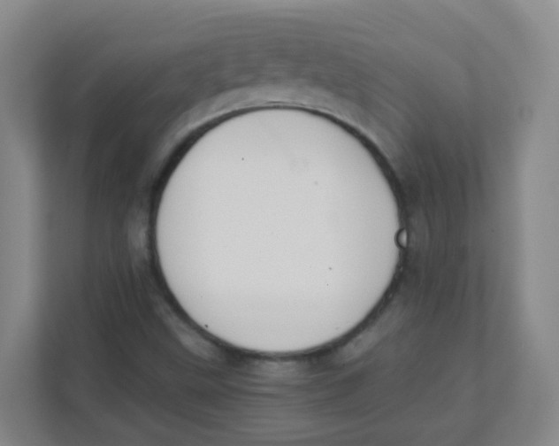 X0000111371499200907311022