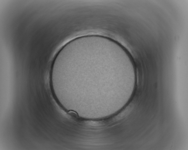 X0000111371500200907311022