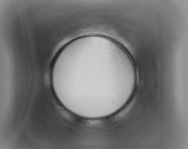 X0000111371501200907311022