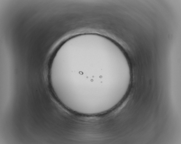 X0000111371502200907311022