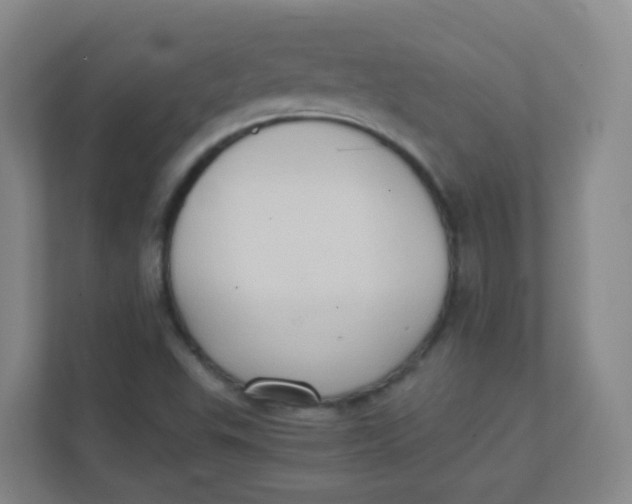 X0000111371503200907311022