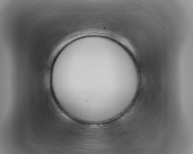 X0000111371504200907311022