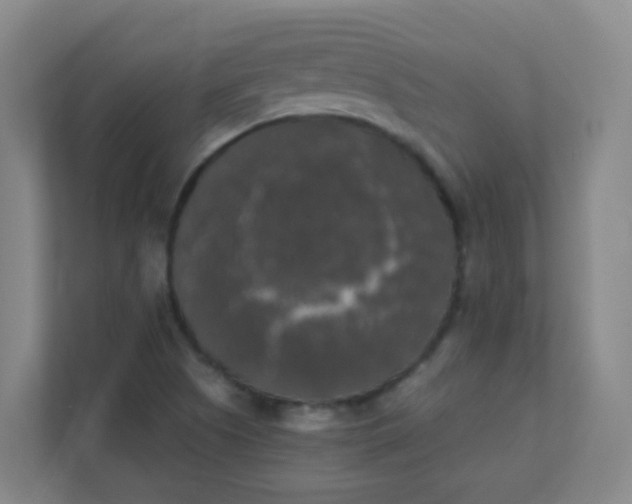 X0000111371505200907311022