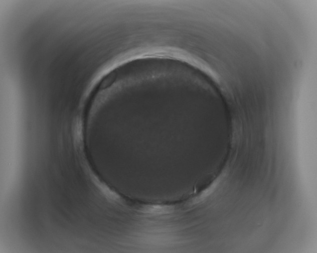 X0000111371506200907311022