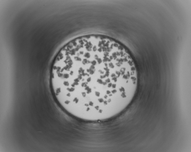 X0000111371508200907311022