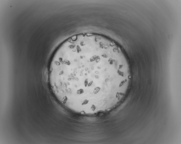 X0000111371509200907311022