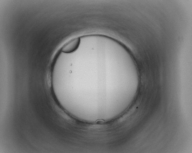 X0000111371510200907311022