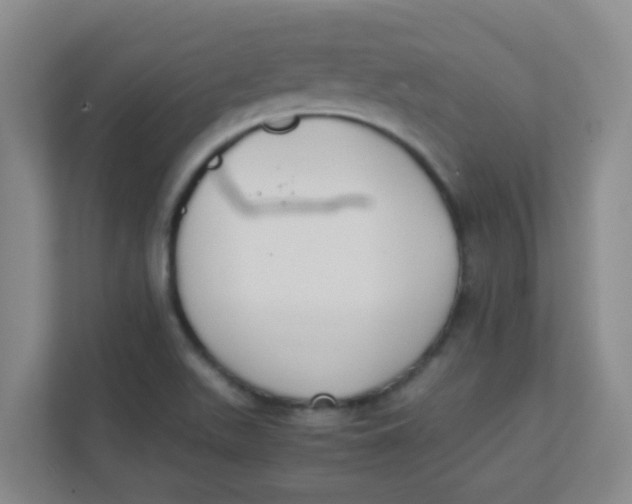 X0000111371511200907311023