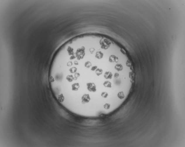 X0000111371513200907311023