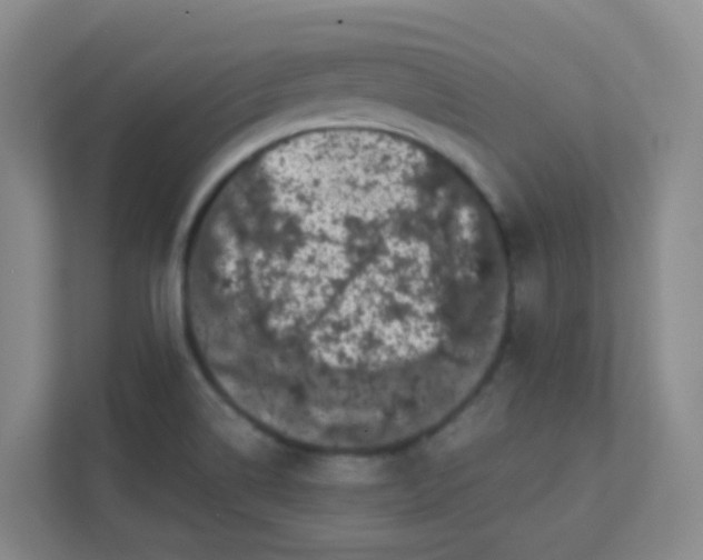 X0000111371514200907311023