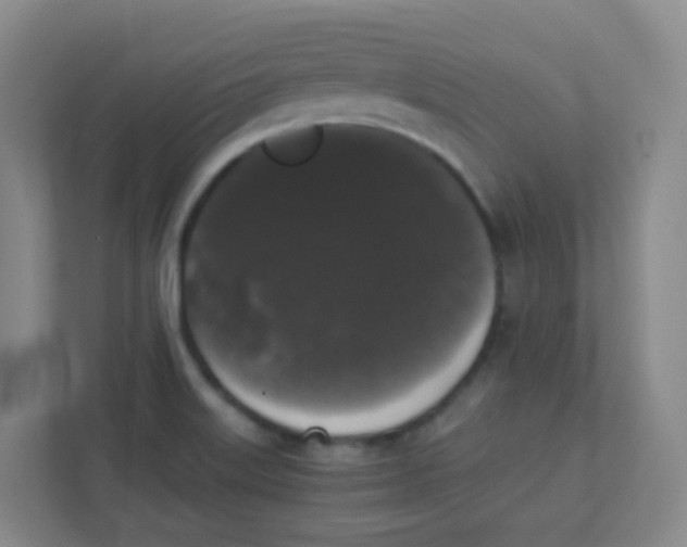 X0000111371515200907311023