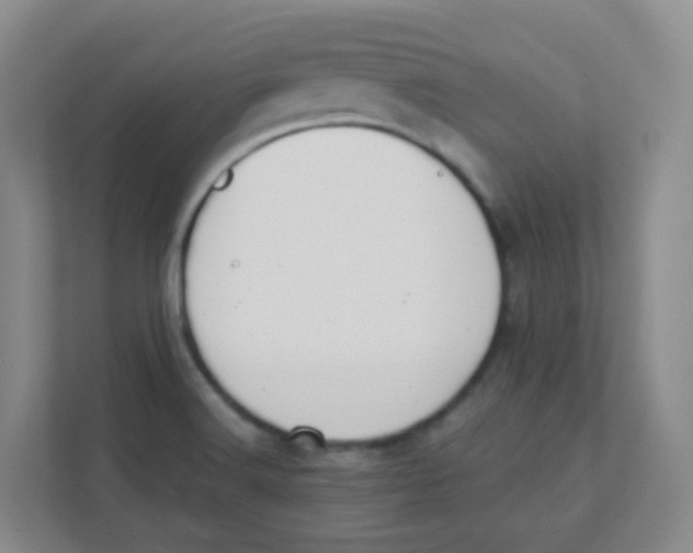 X0000111371516200907311023