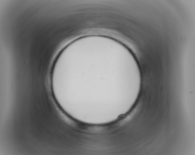 X0000111371517200907311023