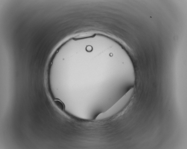 X0000111371518200907311023