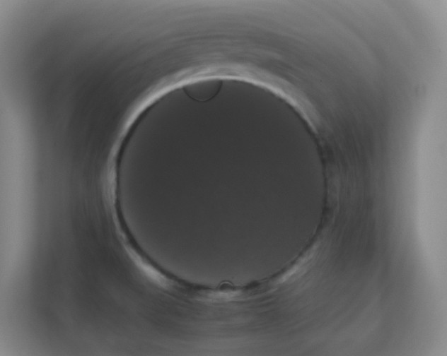 X0000111371519200907311023