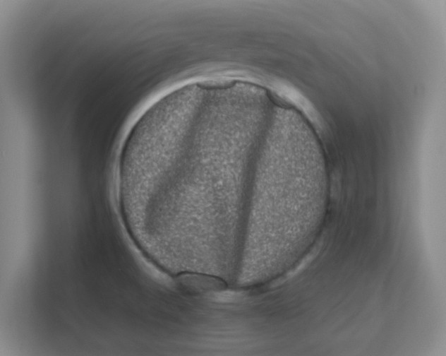 X0000111371520200907311023