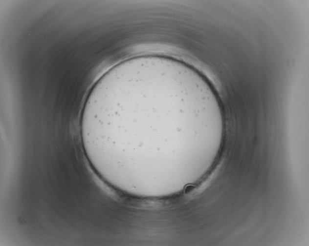 X0000111371521200907311023