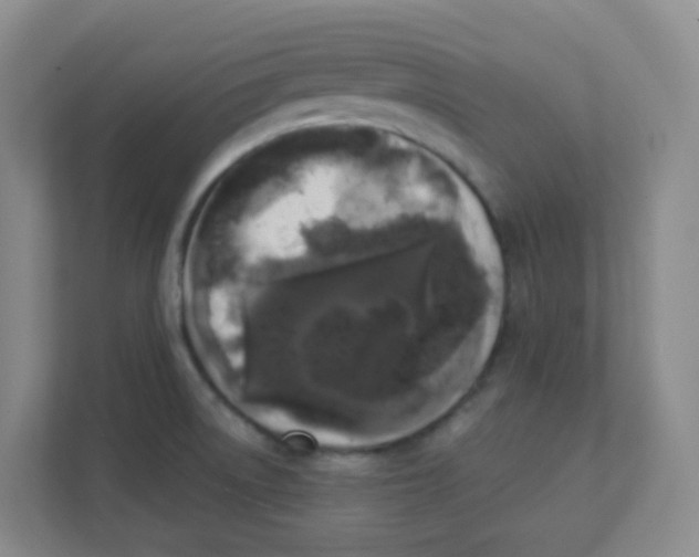 X0000111371522200907311023