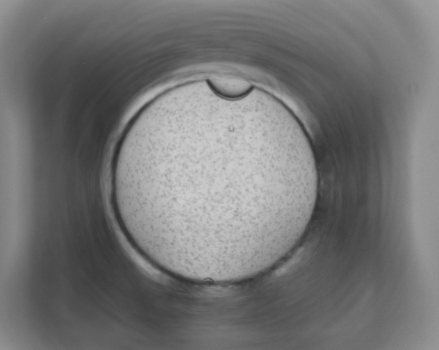 X0000111371523200907311023