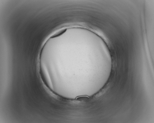 X0000111371524200907311023