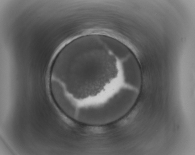 X0000111371525200907311023