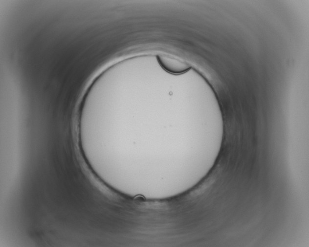 X0000111371526200907311023