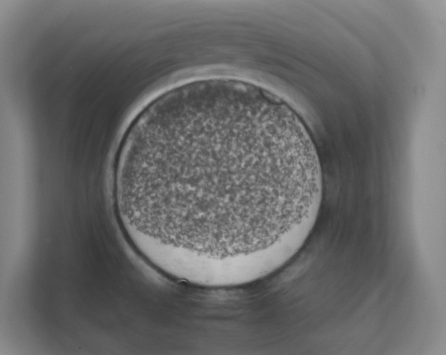 X0000111371527200907311023